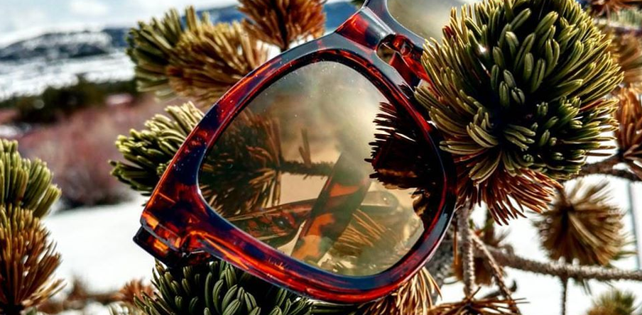 Detour Sunglasses Review: Our Honest Opinion